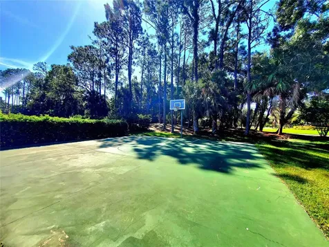10004 Tree Tops Lake Road Tampa FL 33626