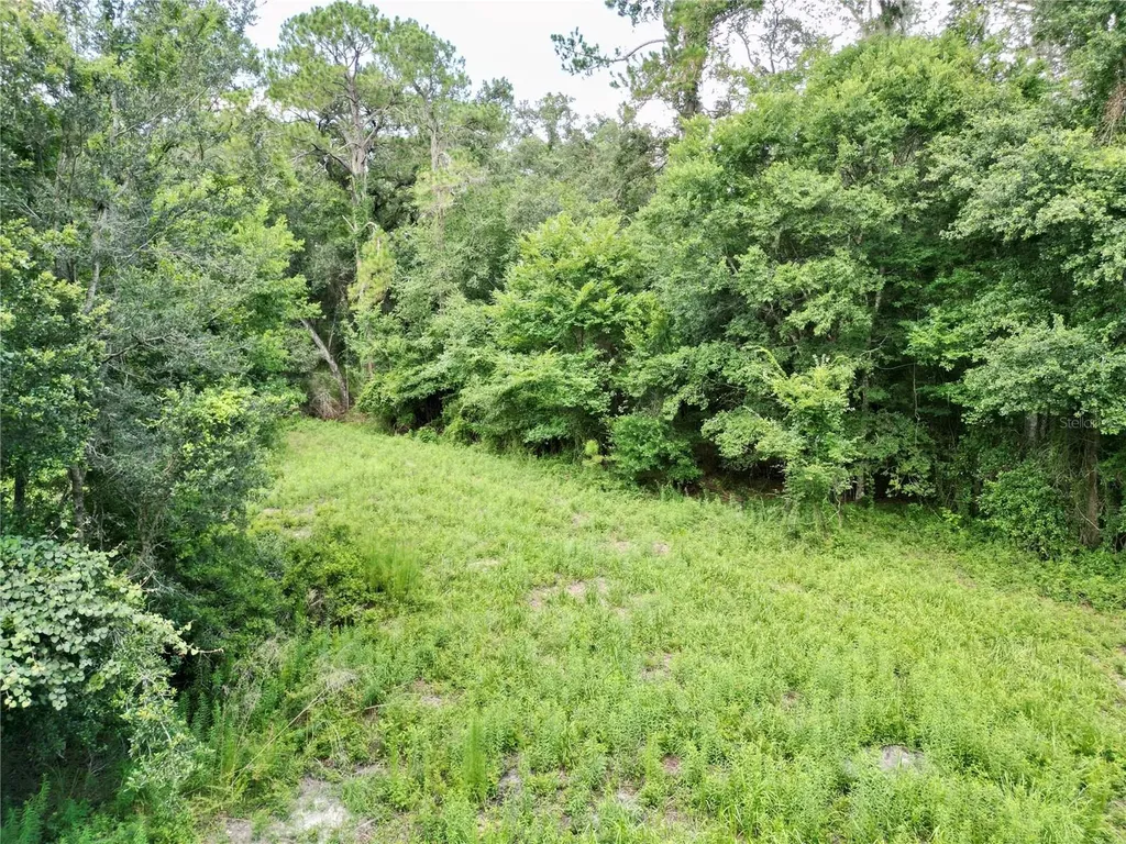 Tbd SW 31st Way Webster FL 33597