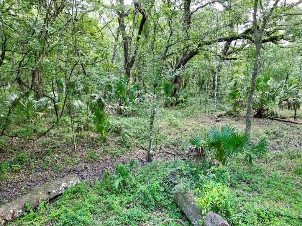 Tbd SW 31st Way Webster FL 33597