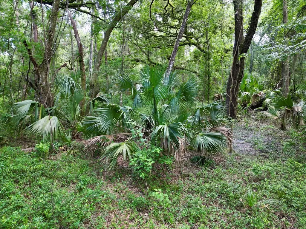Tbd SW 31st Way Webster FL 33597