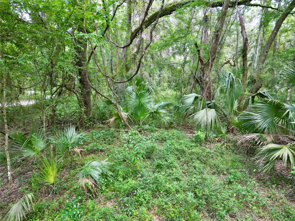 Tbd SW 31st Way Webster FL 33597