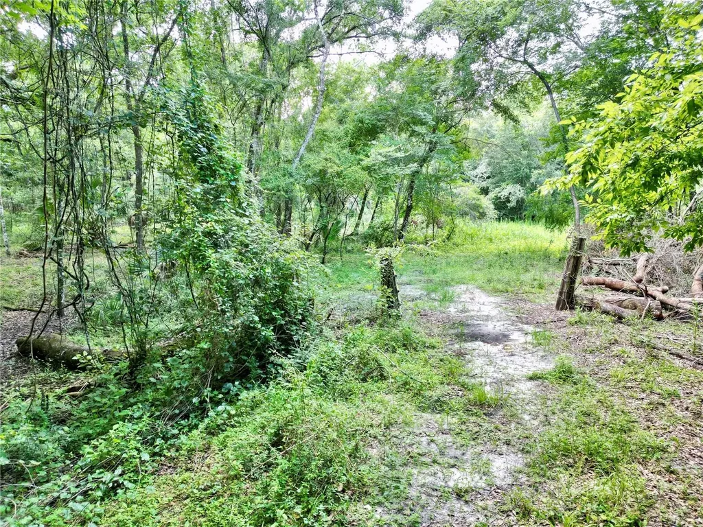 Tbd SW 31st Way Webster FL 33597