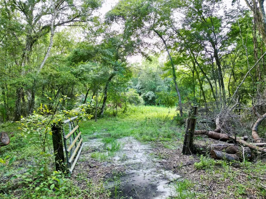 Tbd SW 31st Way Webster FL 33597