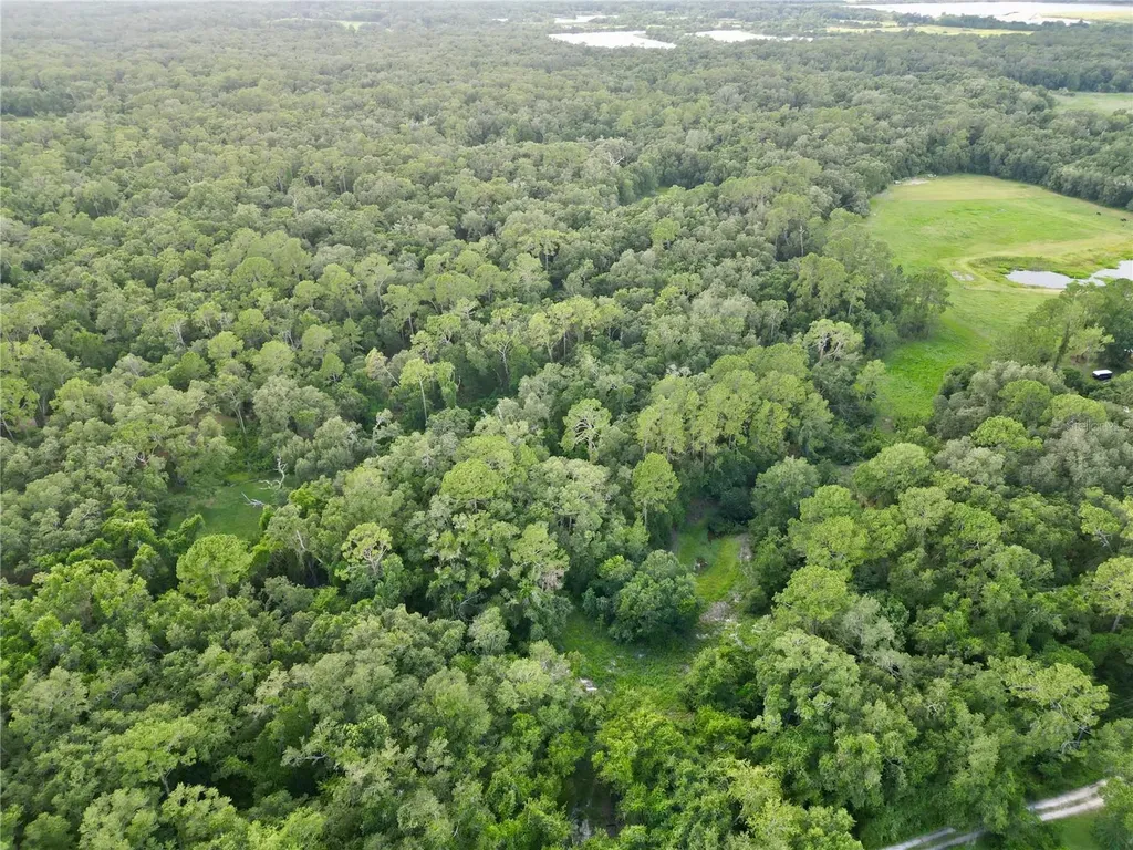 Tbd SW 31st Way Webster FL 33597