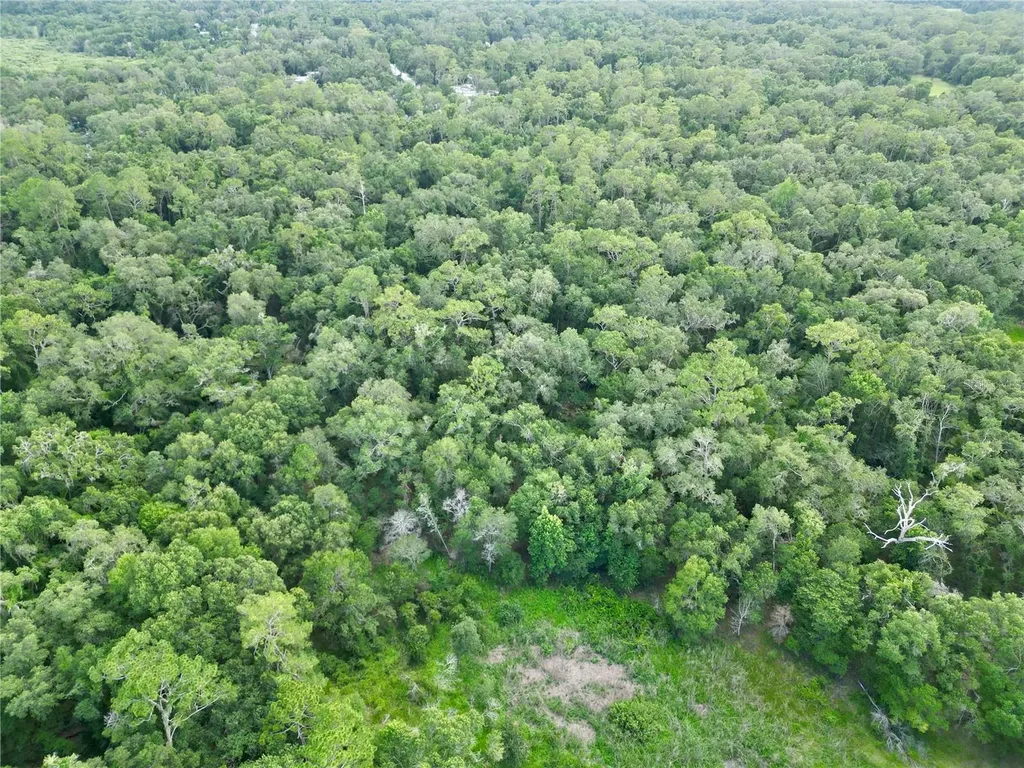 Tbd SW 31st Way Webster FL 33597