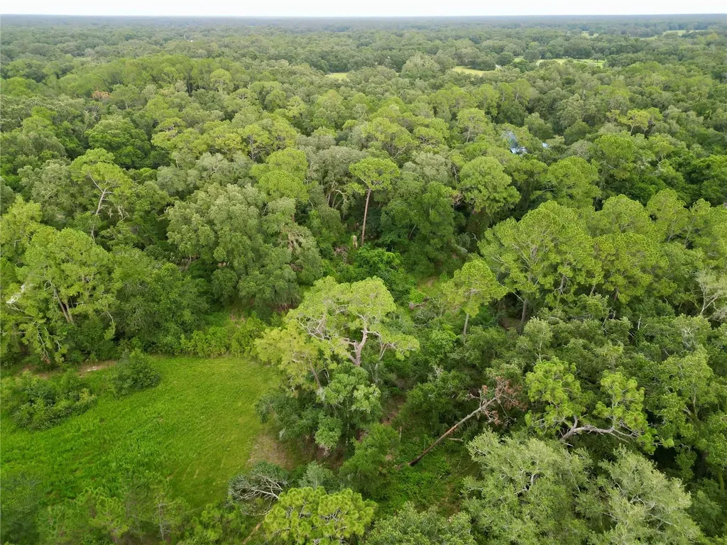 Tbd SW 31st Way Webster FL 33597