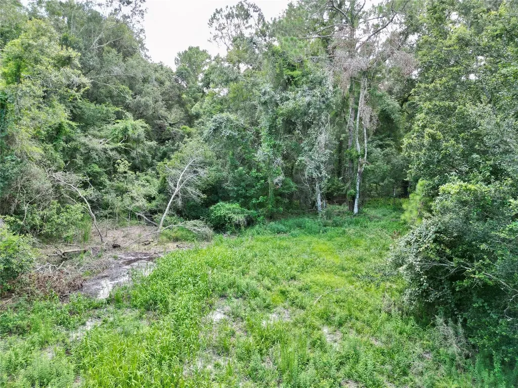 Tbd SW 31st Way Webster FL 33597