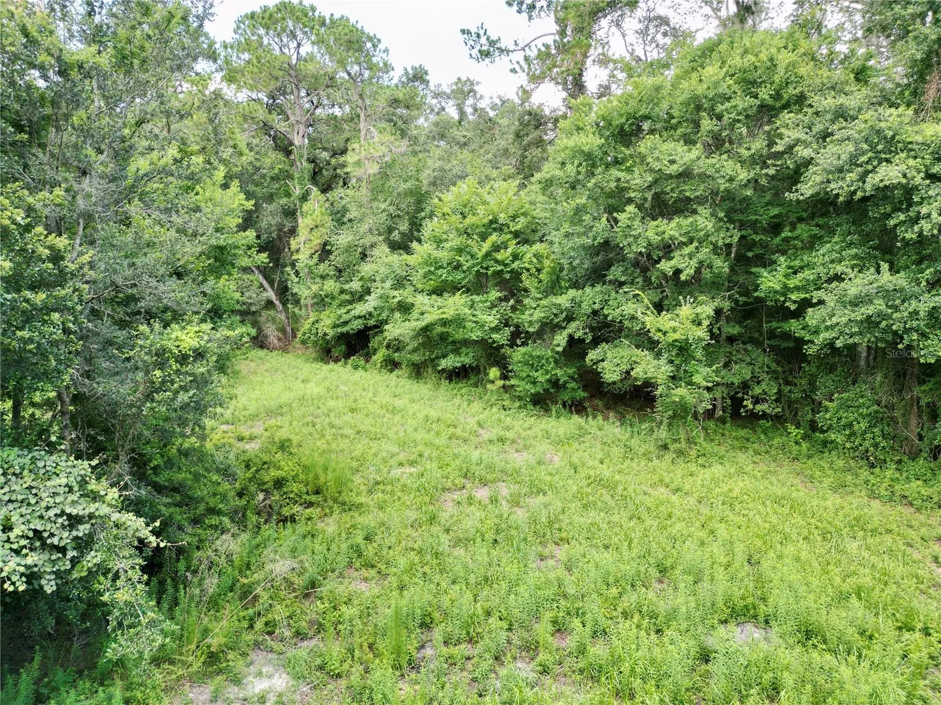 Tbd SW 31st Way Webster FL 33597