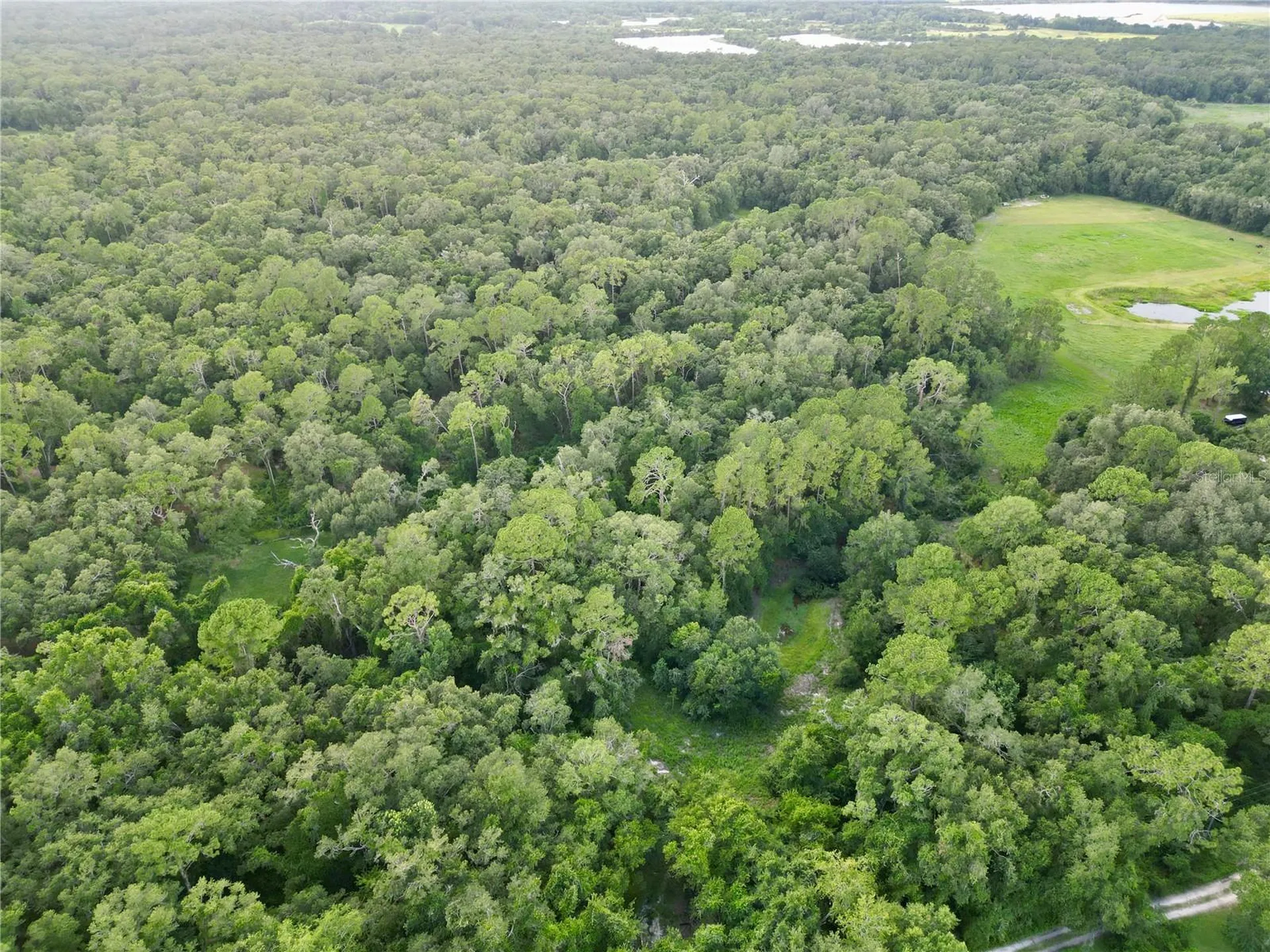 Tbd SW 31st Way Webster FL 33597