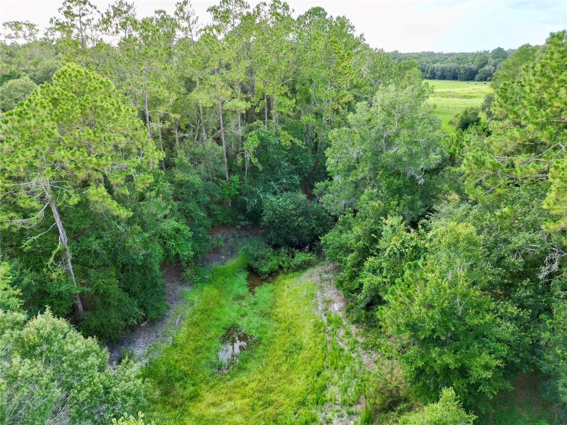 Tbd SW 31st Way Webster FL 33597