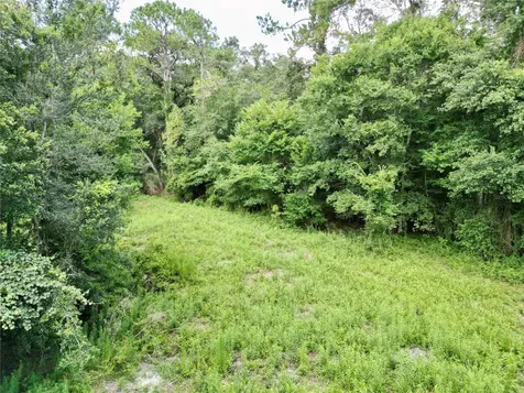 Tbd SW 31st Way Webster FL 33597