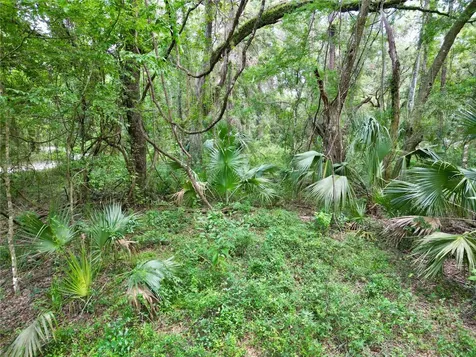 Tbd SW 31st Way Webster FL 33597