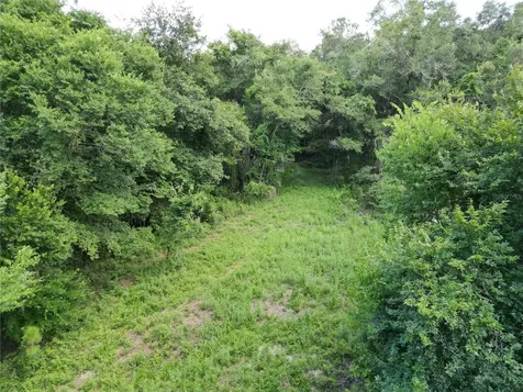 Tbd SW 31st Way Webster FL 33597