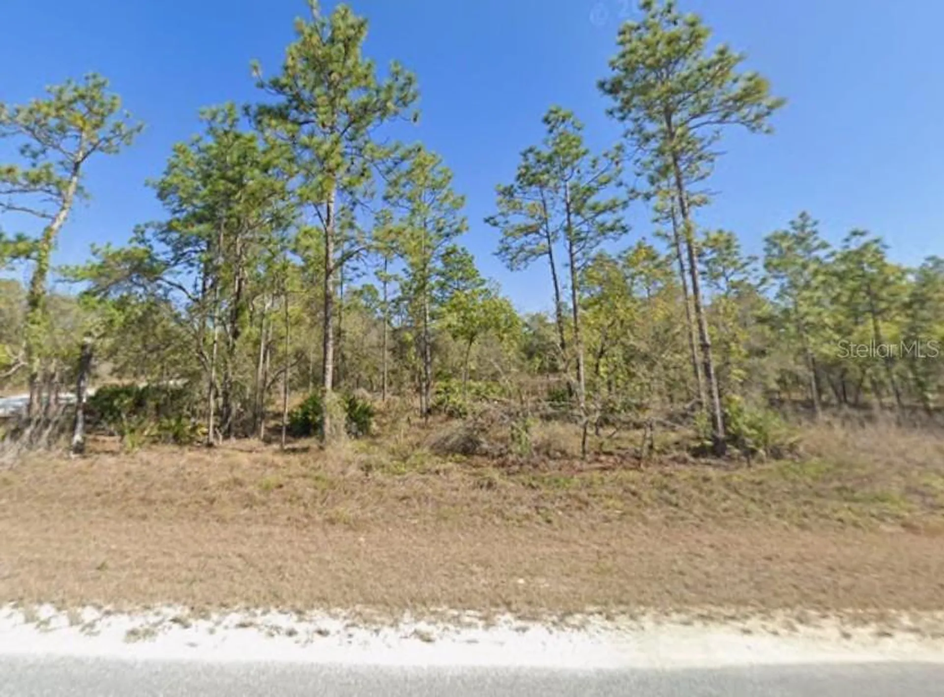 16230 Kakawi Road Brooksville FL 34614