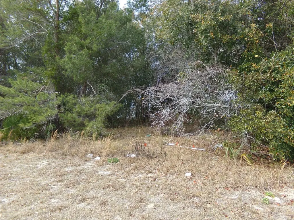 1680 Catalina Boulevard Deltona FL 32738