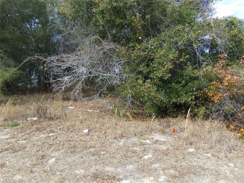 1680 Catalina Boulevard Deltona FL 32738