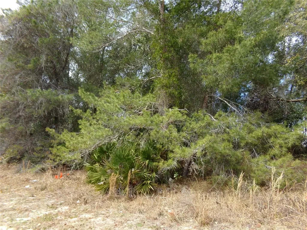 1680 Catalina Boulevard Deltona FL 32738