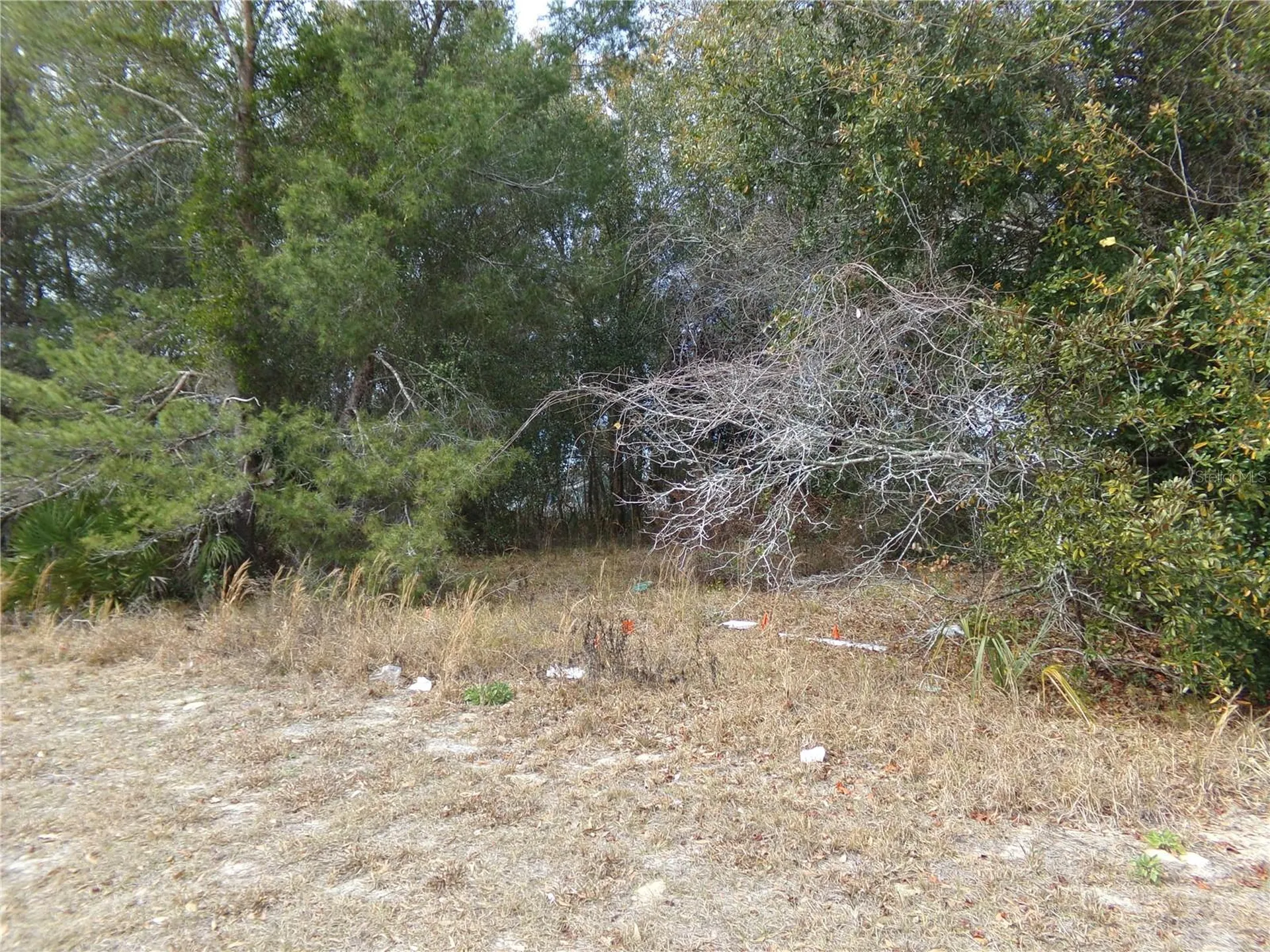 1680 Catalina Boulevard Deltona FL 32738