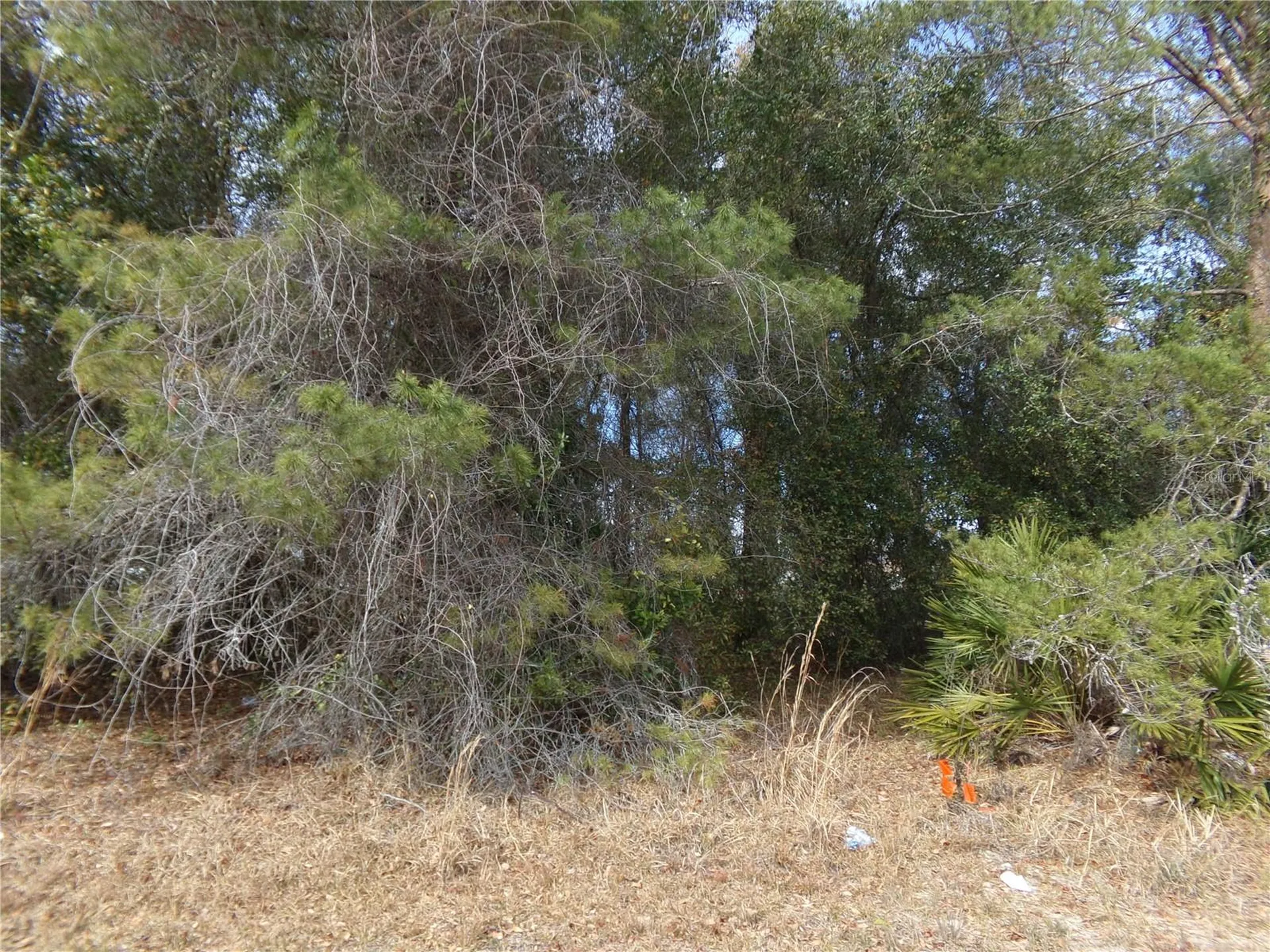 1680 Catalina Boulevard Deltona FL 32738
