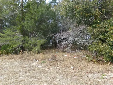 1680 Catalina Boulevard Deltona FL 32738