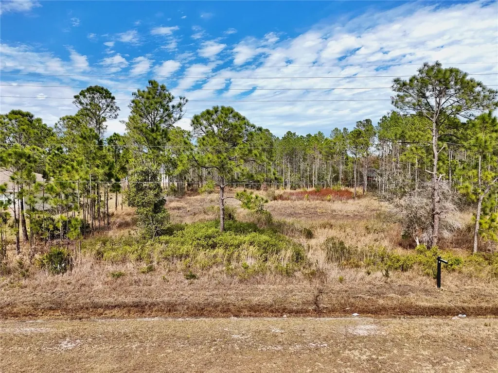 19115 Meredith Parkway Orlando FL 32833