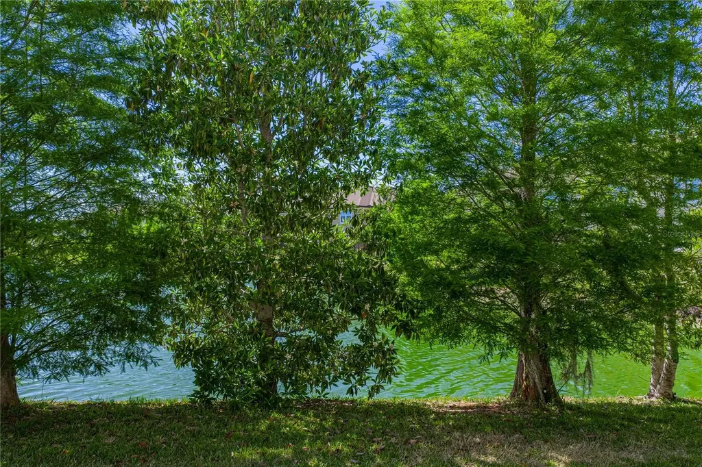 2527 Stapleford Place Wesley Chapel FL 33543