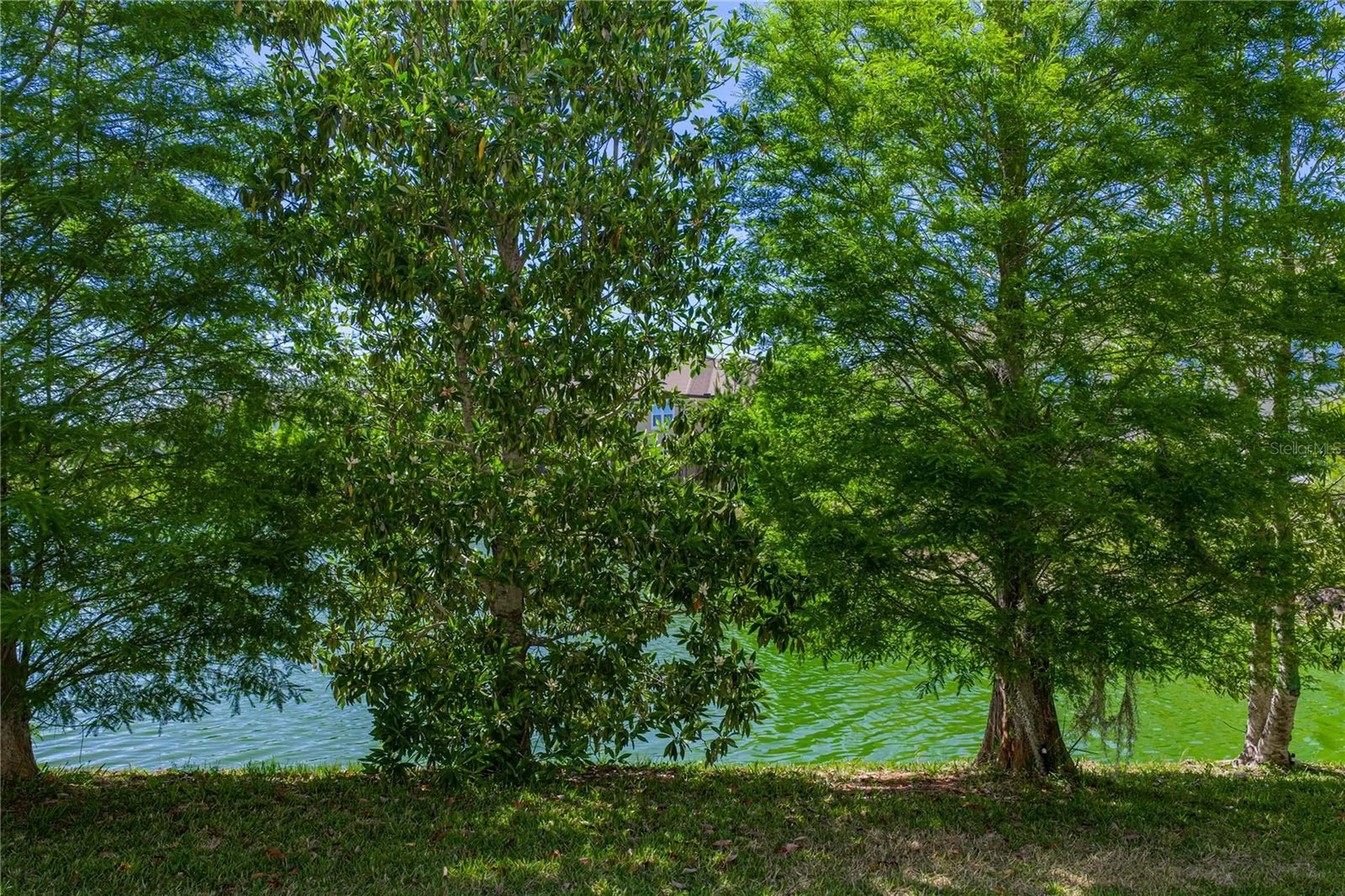 2527 Stapleford Place Wesley Chapel FL 33543