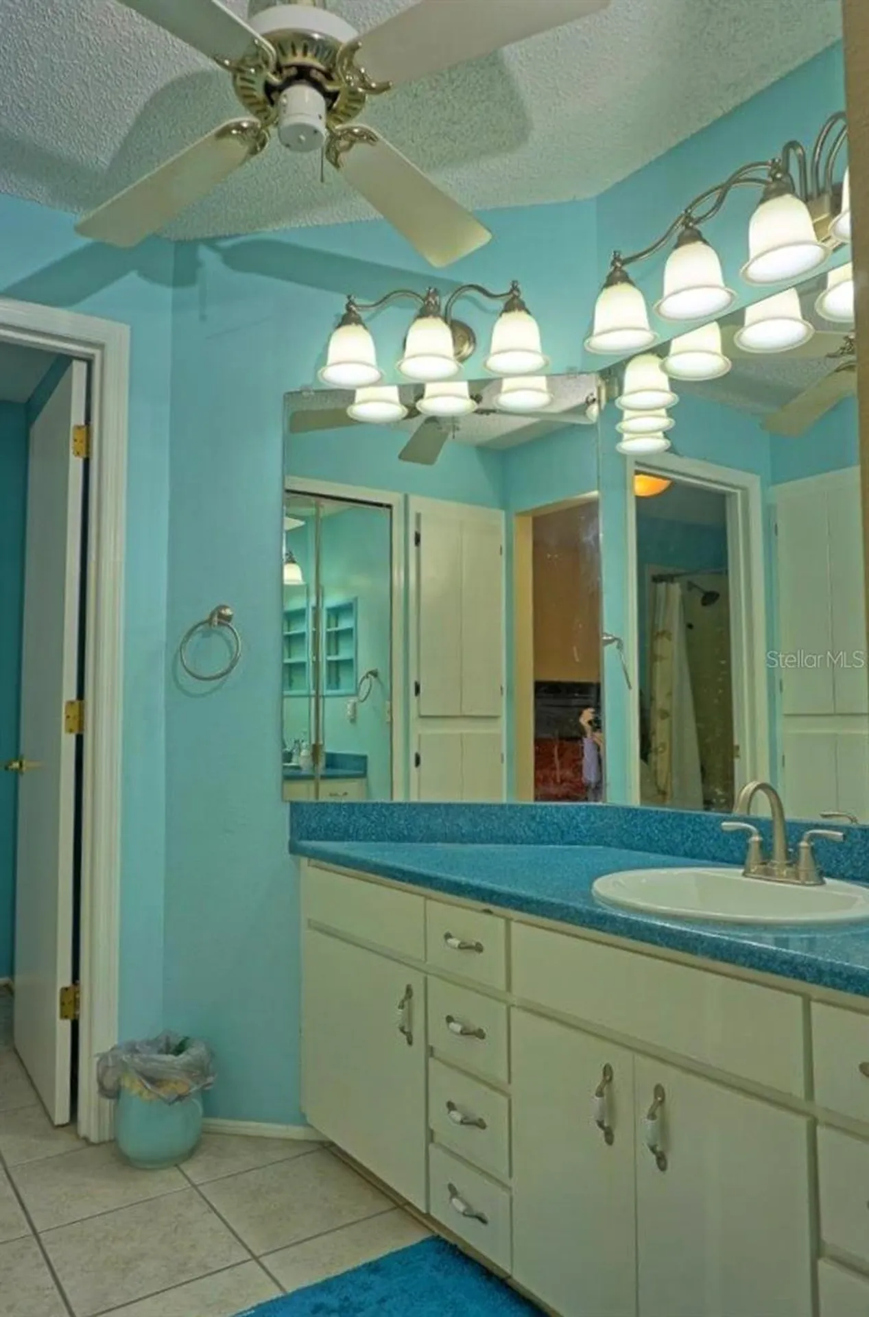 2051 Vista Del Sol Circle Lutz FL 33558