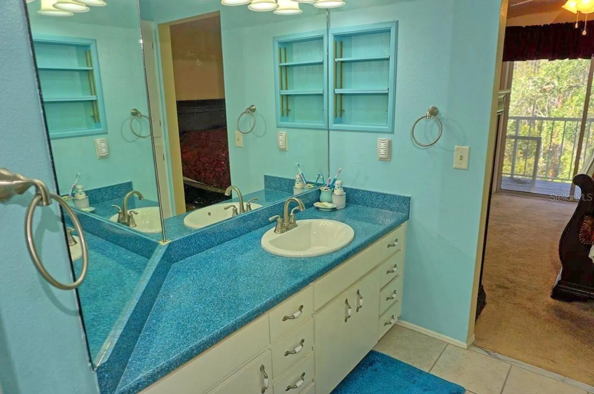2051 Vista Del Sol Circle Lutz FL 33558