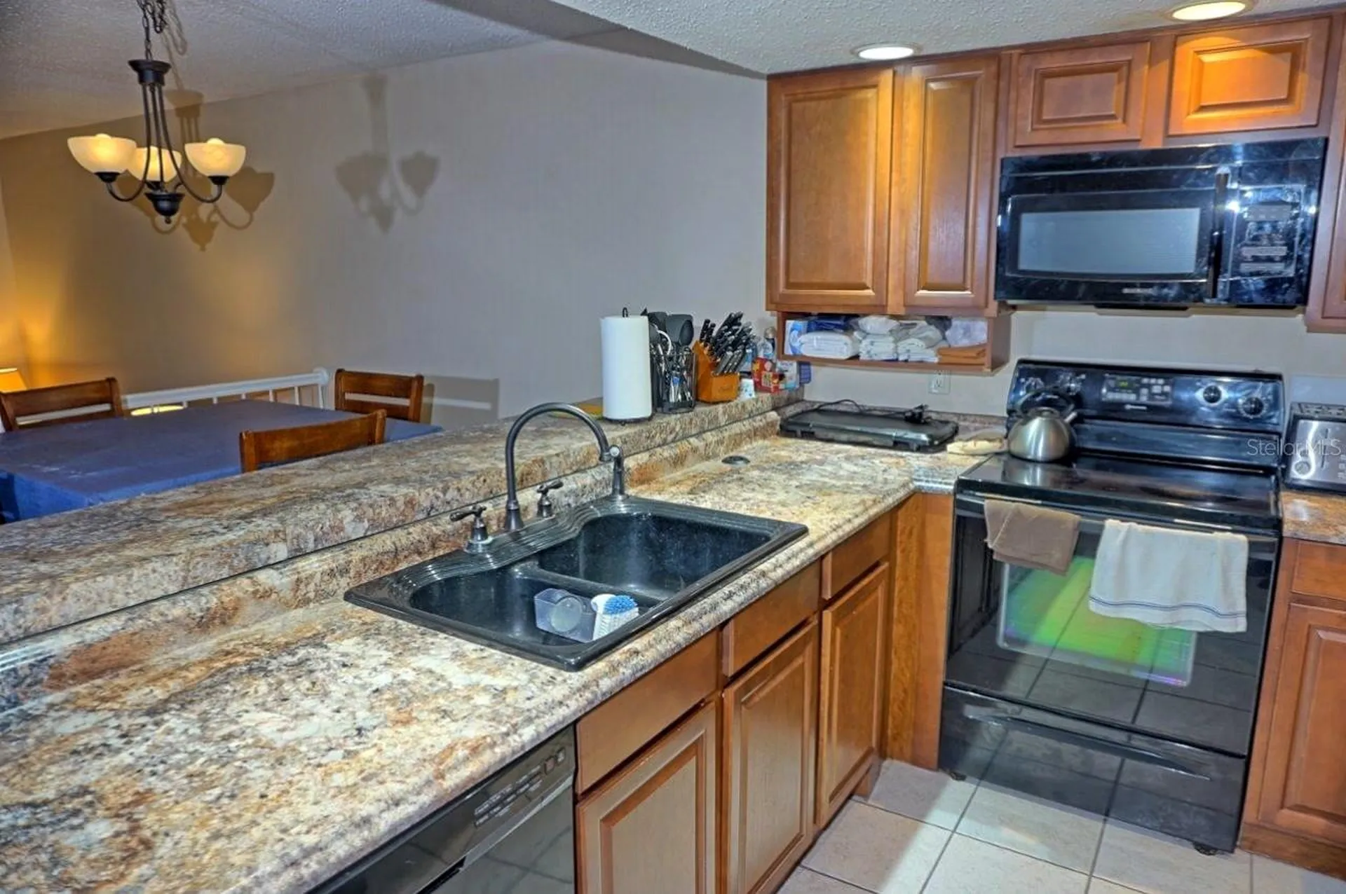 2051 Vista Del Sol Circle Lutz FL 33558