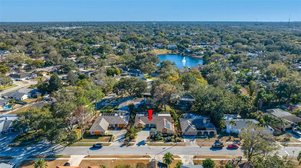 2970 Tangerine Terrace Palm Harbor FL 34684
