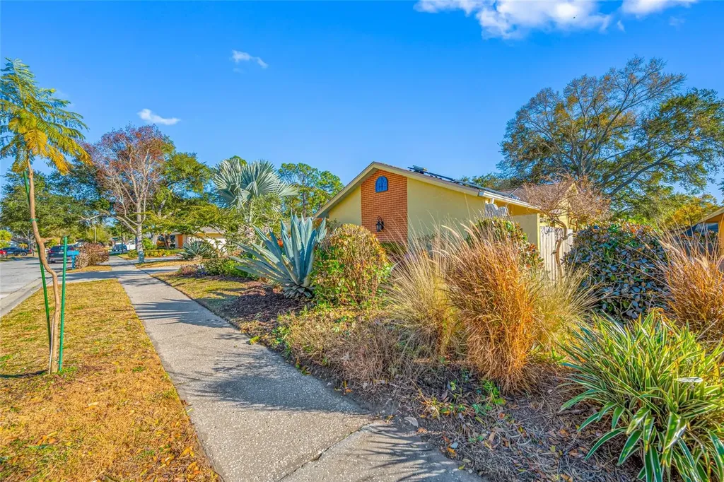 2970 Tangerine Terrace Palm Harbor FL 34684