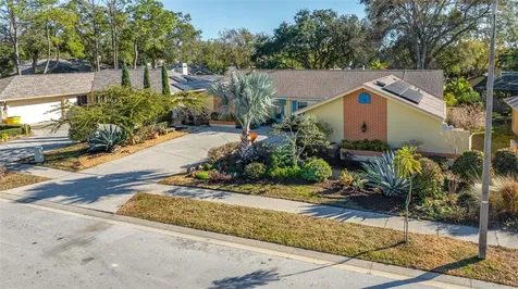 2970 Tangerine Terrace Palm Harbor FL 34684