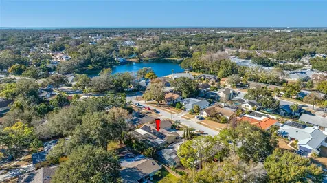 2970 Tangerine Terrace Palm Harbor FL 34684