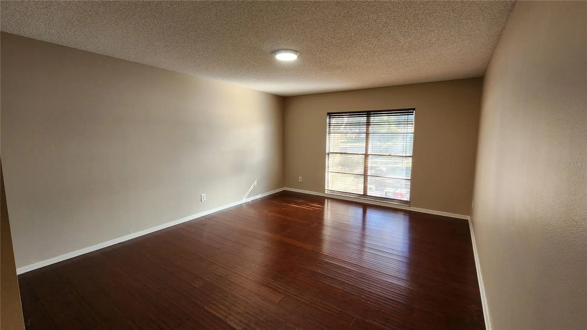 14921 Old Pointe Road Tampa FL 33613