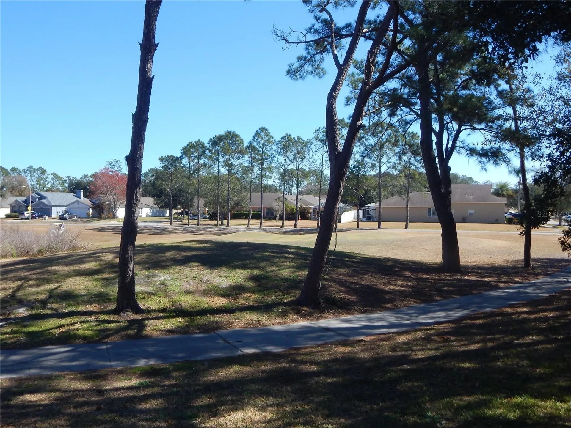 5632 Autumn Shire Drive Zephyrhills FL 33541