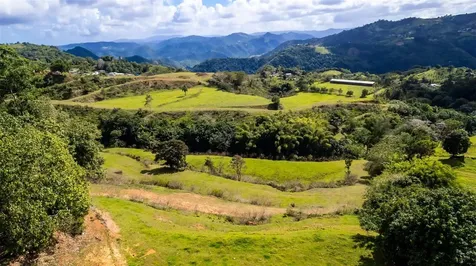 Road 152 Camino Las Orquideas Road Barranquitas PR 00794