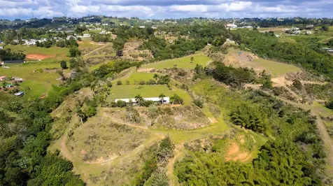 Road 152 Camino Las Orquideas Road Barranquitas PR 00794