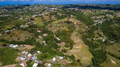 Road 152 Camino Las Orquideas Road Barranquitas PR 00794