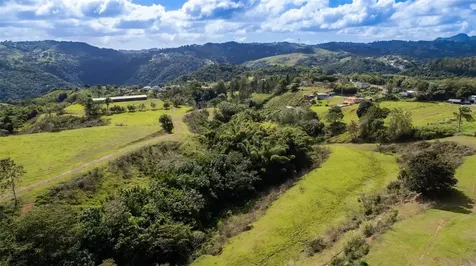 Road 152 Camino Las Orquideas Road Barranquitas PR 00794