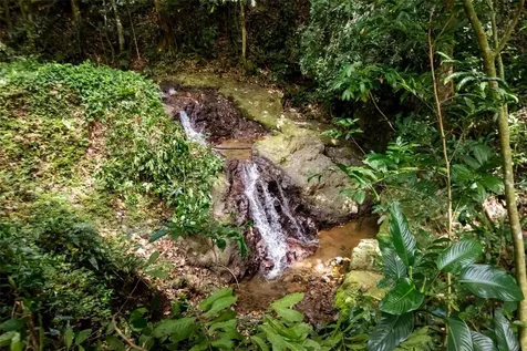 Road 152 Camino Las Orquideas Road Barranquitas PR 00794