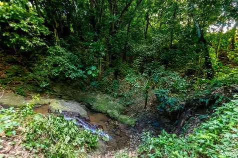 Road 152 Camino Las Orquideas Road Barranquitas PR 00794