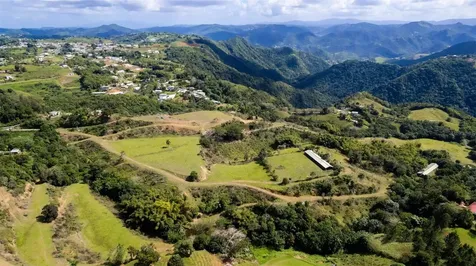 Road 152 Camino Las Orquideas Road Barranquitas PR 00794