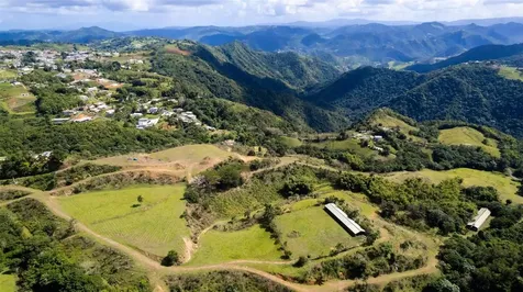 Road 152 Camino Las Orquideas Road Barranquitas PR 00794