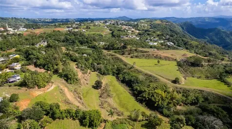 Road 152 Camino Las Orquideas Road Barranquitas PR 00794