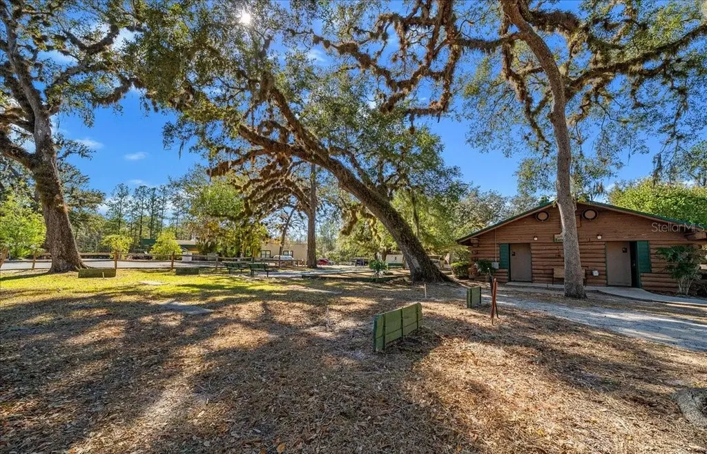 10273 NE 28th Loop Silver Springs FL 34488