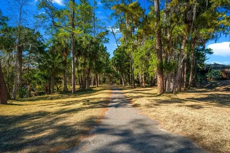 10273 NE 28th Loop Silver Springs FL 34488