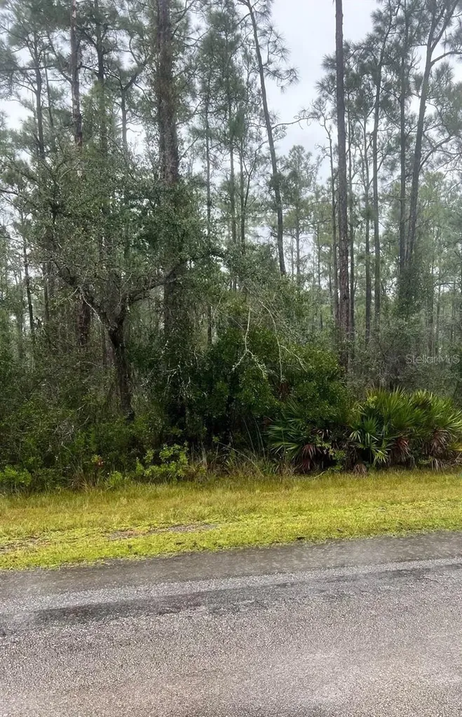 0 Gaillardia Drive Indian Lake Estates FL 33855