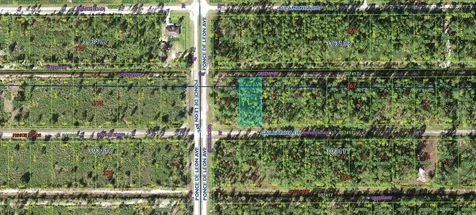 0 Gaillardia Drive Indian Lake Estates FL 33855