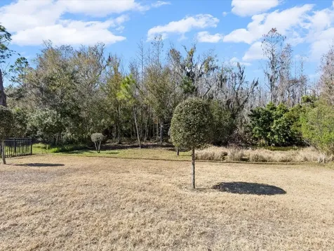 2873 Storybrook Preserve Drive Odessa FL 33556